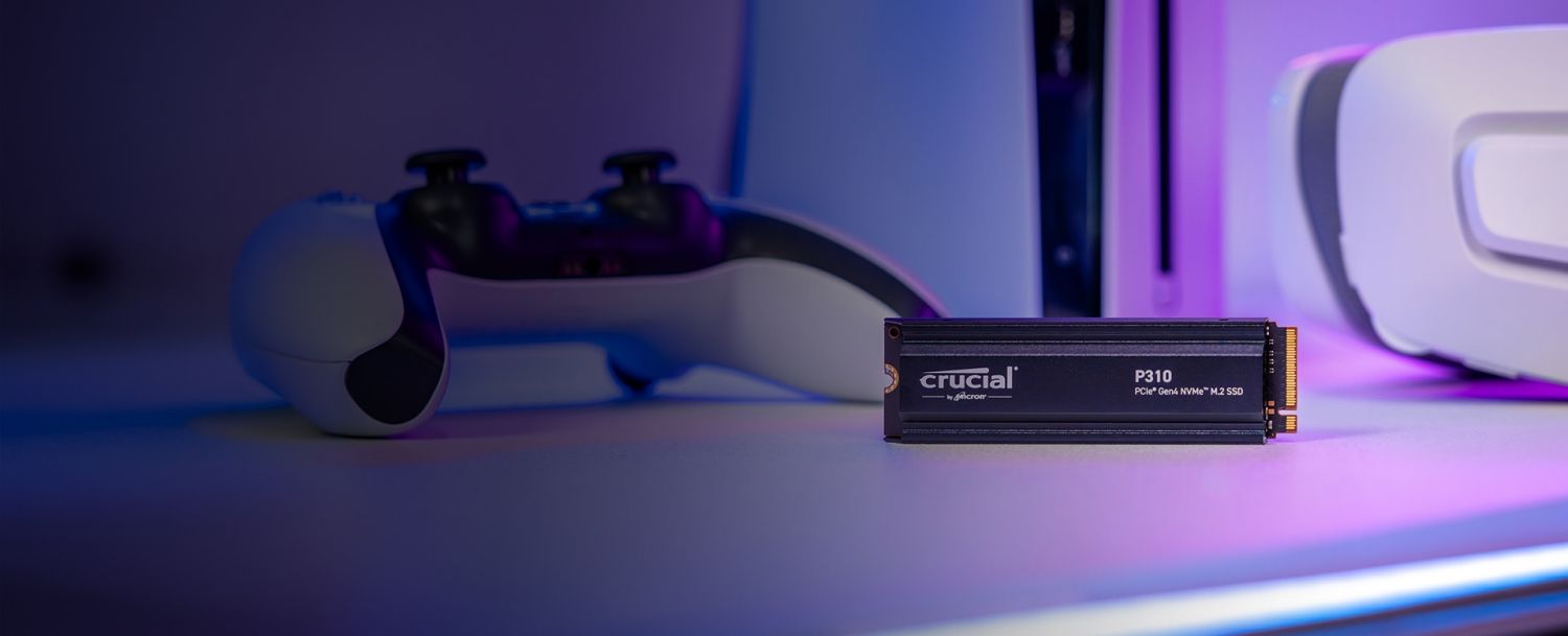 Cricual P310 2280Hs Web