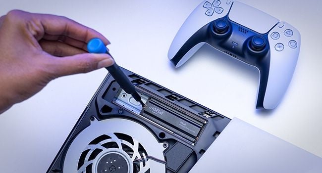 Cricual P310 2280Hs Premium