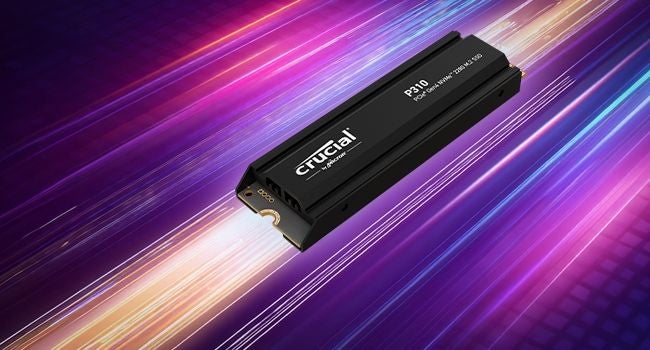 Cricual P310 2280Hs Premium